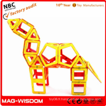 MAG-WISDOM 3D Puzzles éducatifs populaires